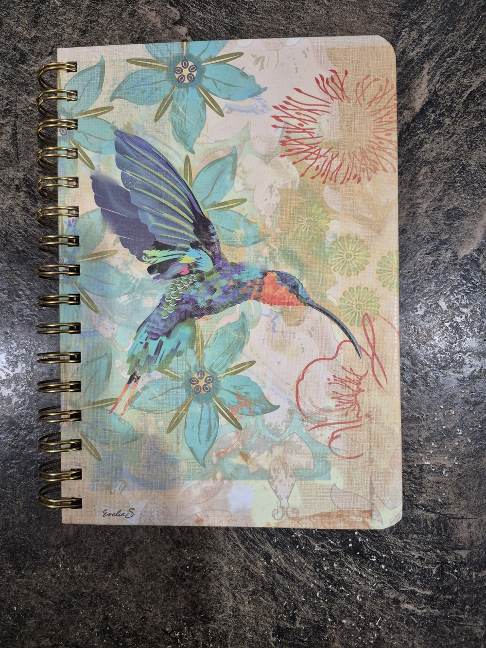 Colorful "Hummingbird Of Sagrada" Journal
